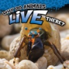 Why_do_animals_live_there_