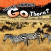 Why_do_animals_go_there_